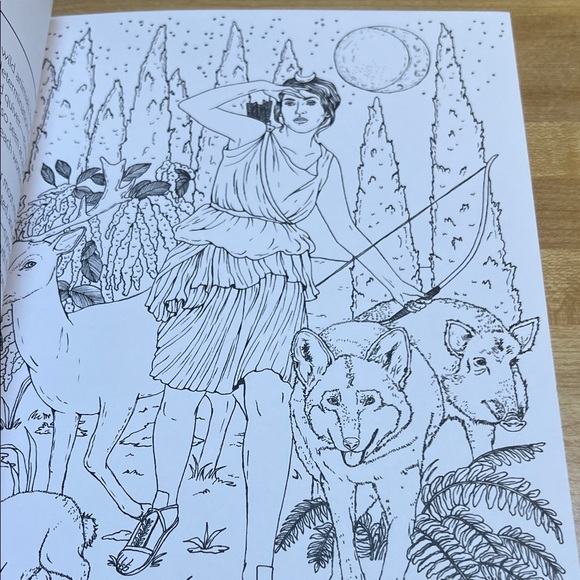 #9030+ Intricate Goddess Coloring Book - Picture 9 of 12